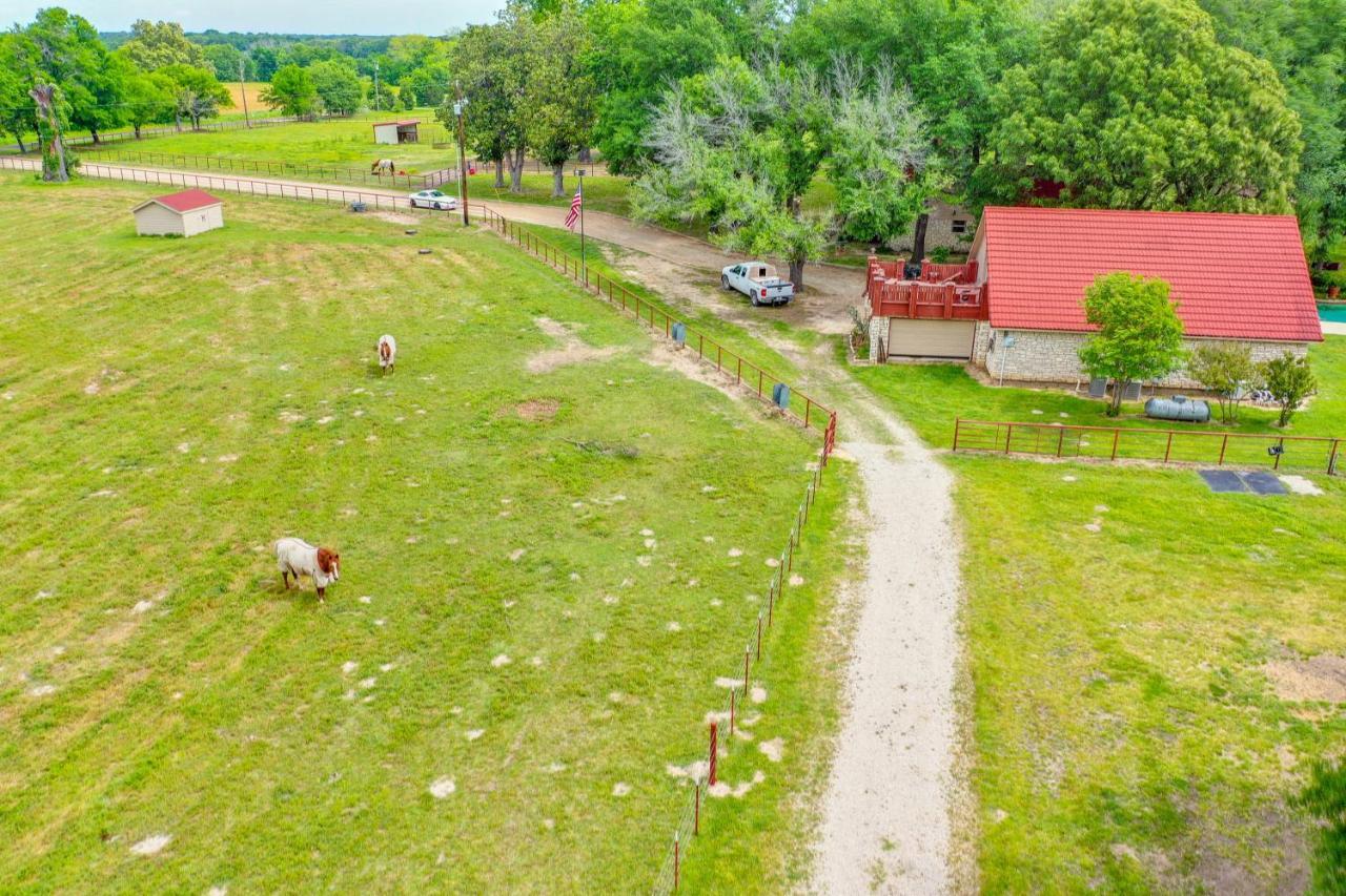 Dog-Friendly Wills Point Home With Grill On 10 Acres Canton Exterior photo